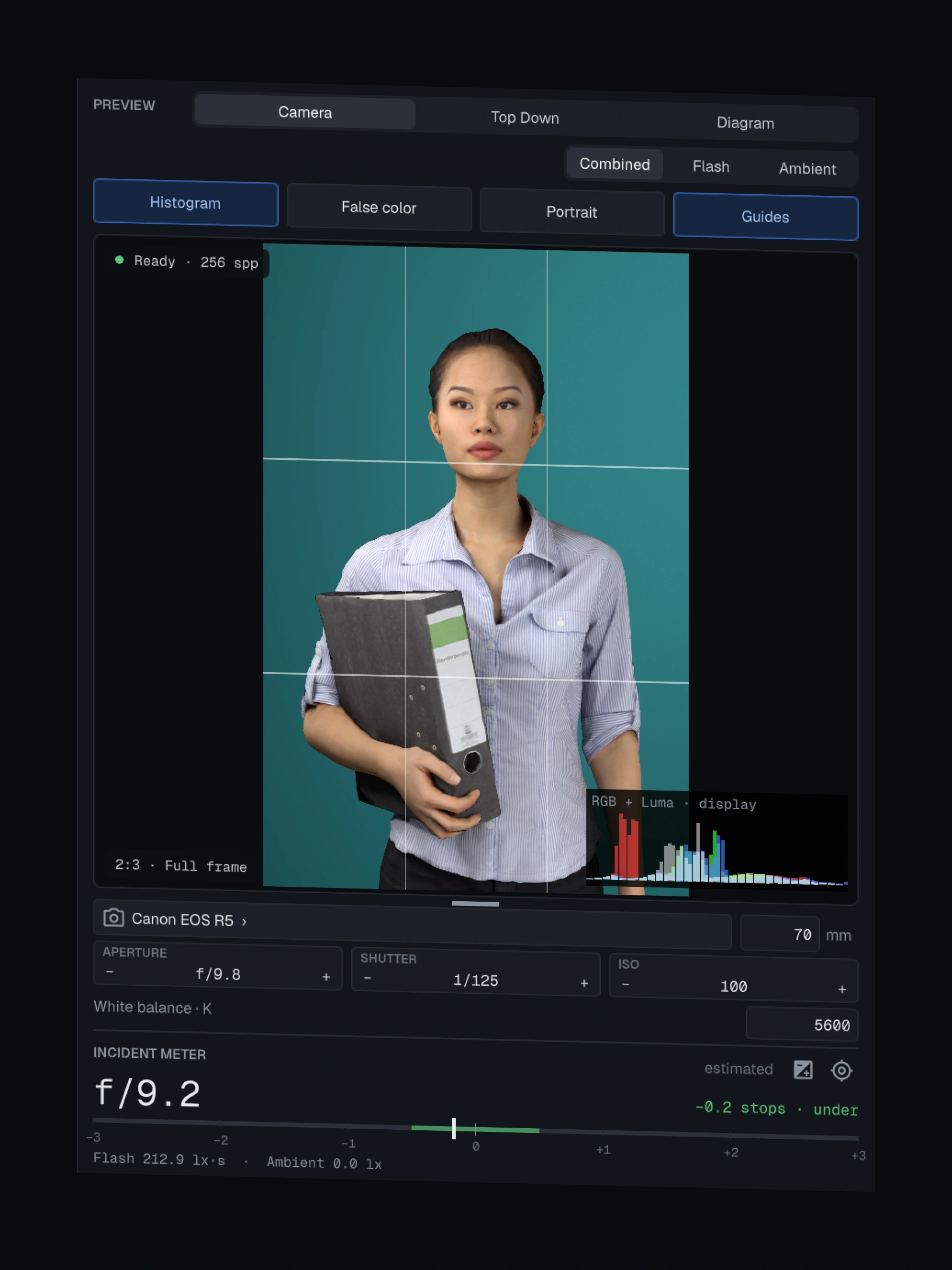 Camera view: the photograph with guides and histogram, camera body, lens, aperture, shutter, ISO, white balance and incident meter